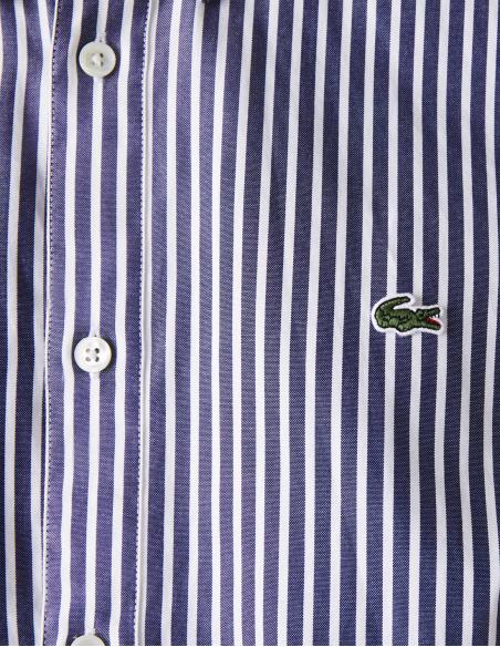 Camisa Lacoste Regular Fit de Rayas | Frescura y Elegancia