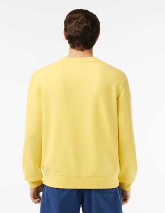 Sudadera Lacoste: Estampado degradé, efecto lavado. 2