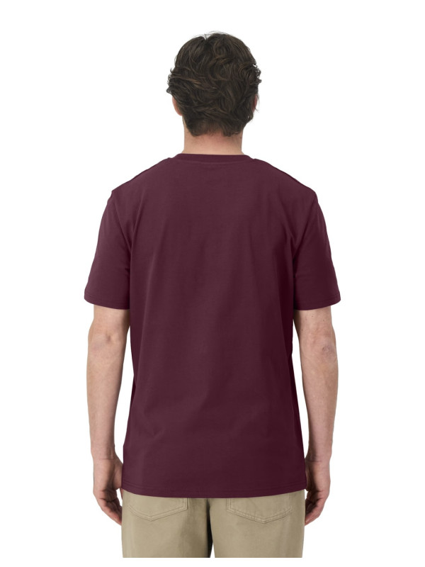CAMISETA TABITA VARSITY DEEP PLUM 2