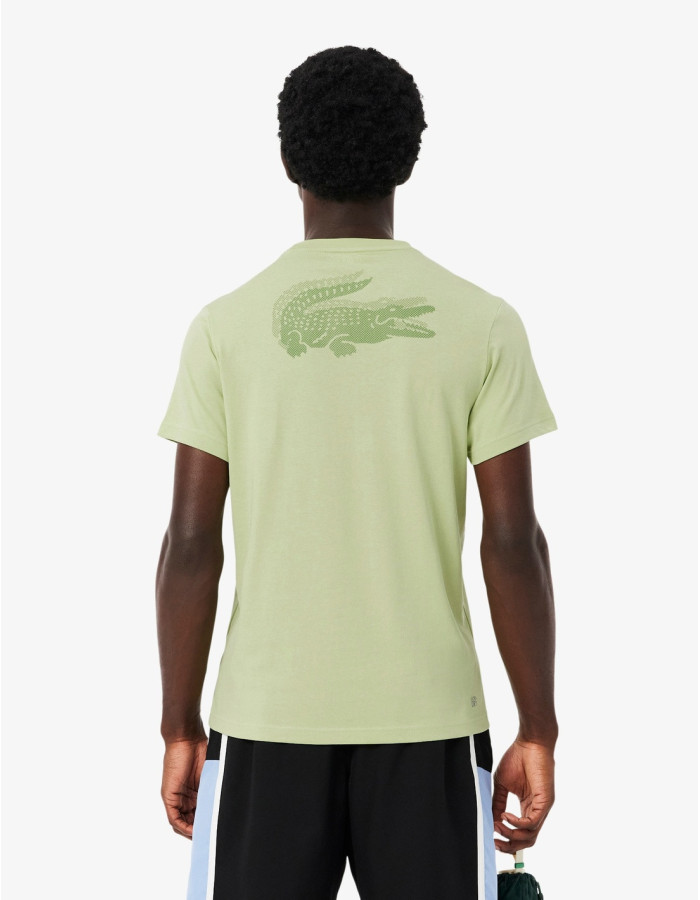 CAMISETA LACOSTE BÁSICA VERDE MACHE