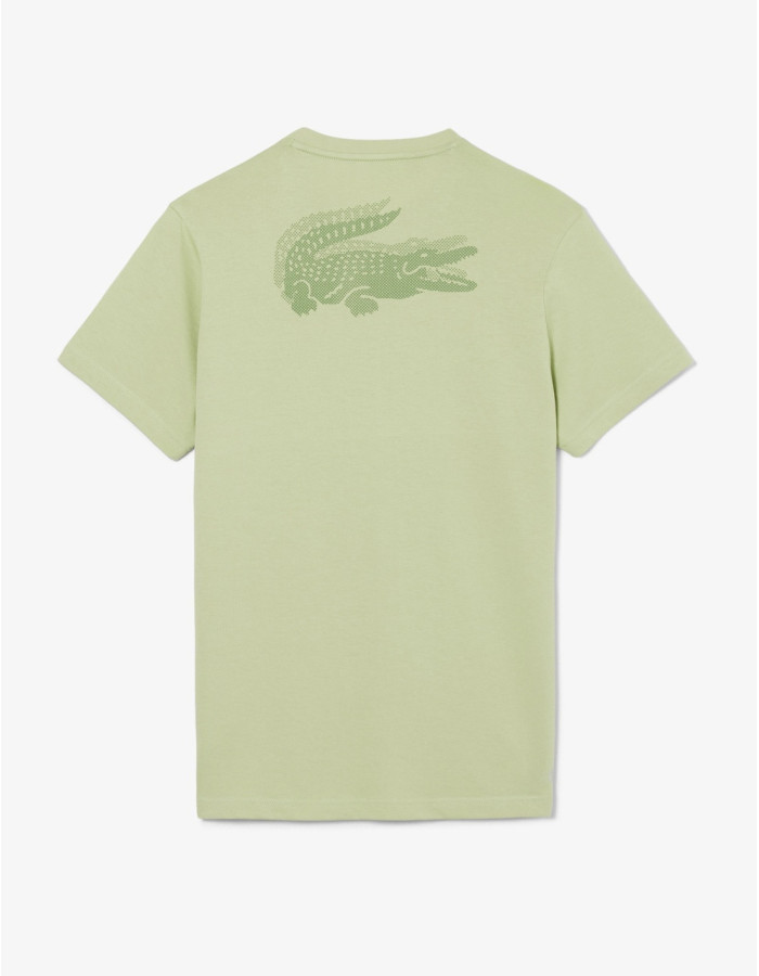 CAMISETA LACOSTE BÁSICA VERDE MACHE